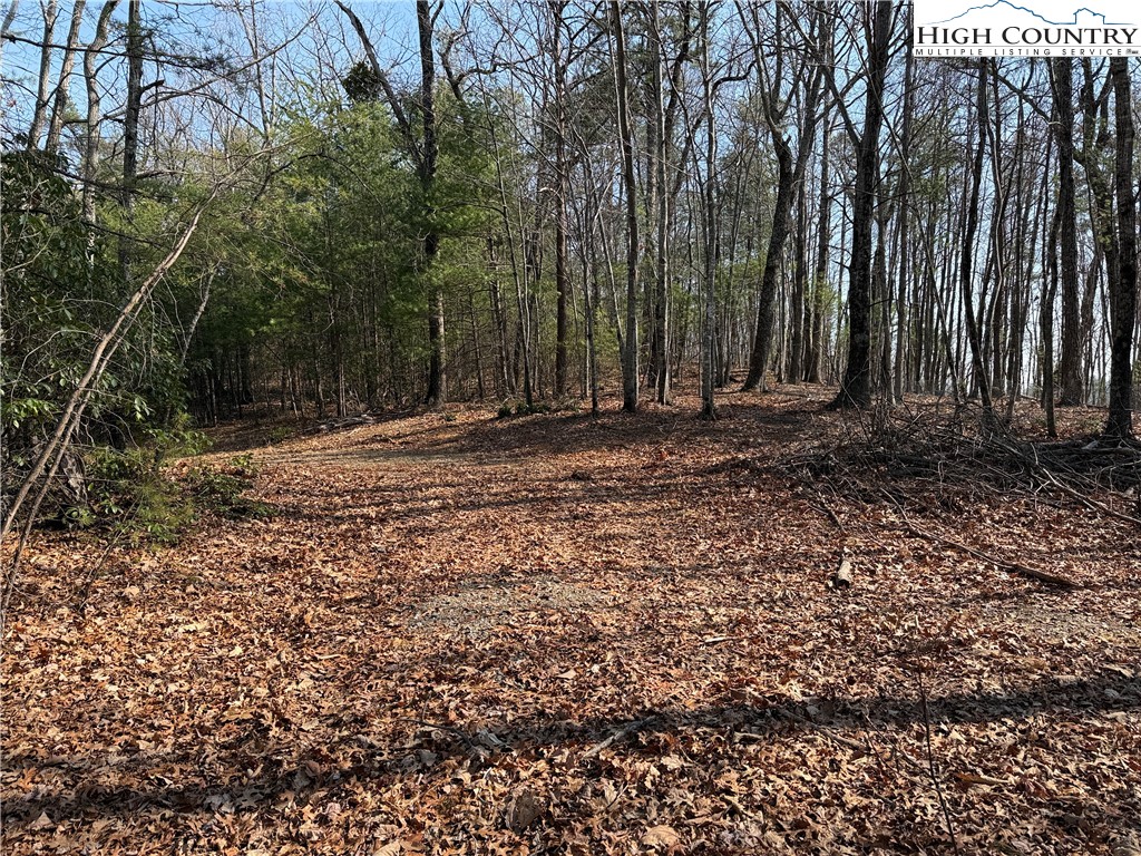 Lot 227 Deer Run Road Purlear, NC 28665 - Photo 8 of 42