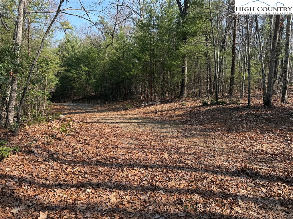 Lot 227 Deer Run Road Purlear, NC 28665 - Photo 9 of 42