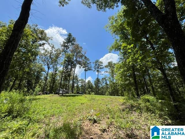 1721 Westover Road Sterrett, AL 35147 - Photo 10 of 31 Gallery Image 10