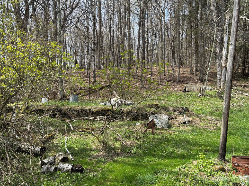 694 Wilber Lake Road Oneonta, NY 13820 - Photo 11 of 22