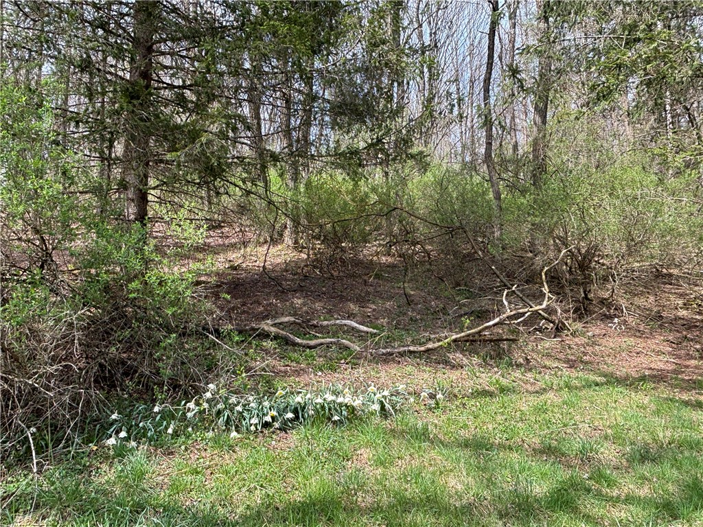694 Wilber Lake Road Oneonta, NY 13820 - Photo 15 of 22