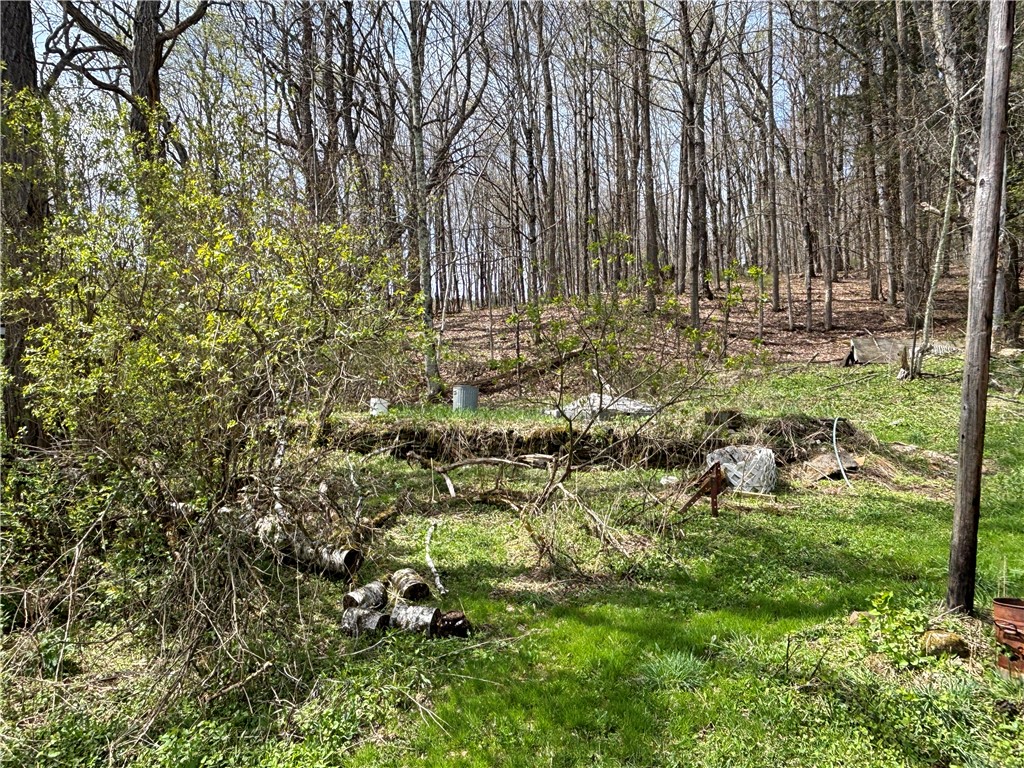 694 Wilber Lake Road Oneonta, NY 13820 - Photo 17 of 22