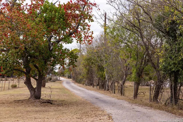 a view of outdoor space with trees