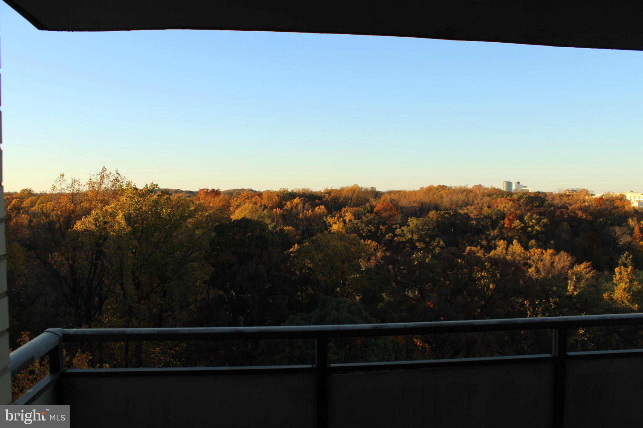 5225 Pooks Hill Road, Unit 1326 Bethesda, MD 20814 - Photo 2 of 24 a view of city from balcony