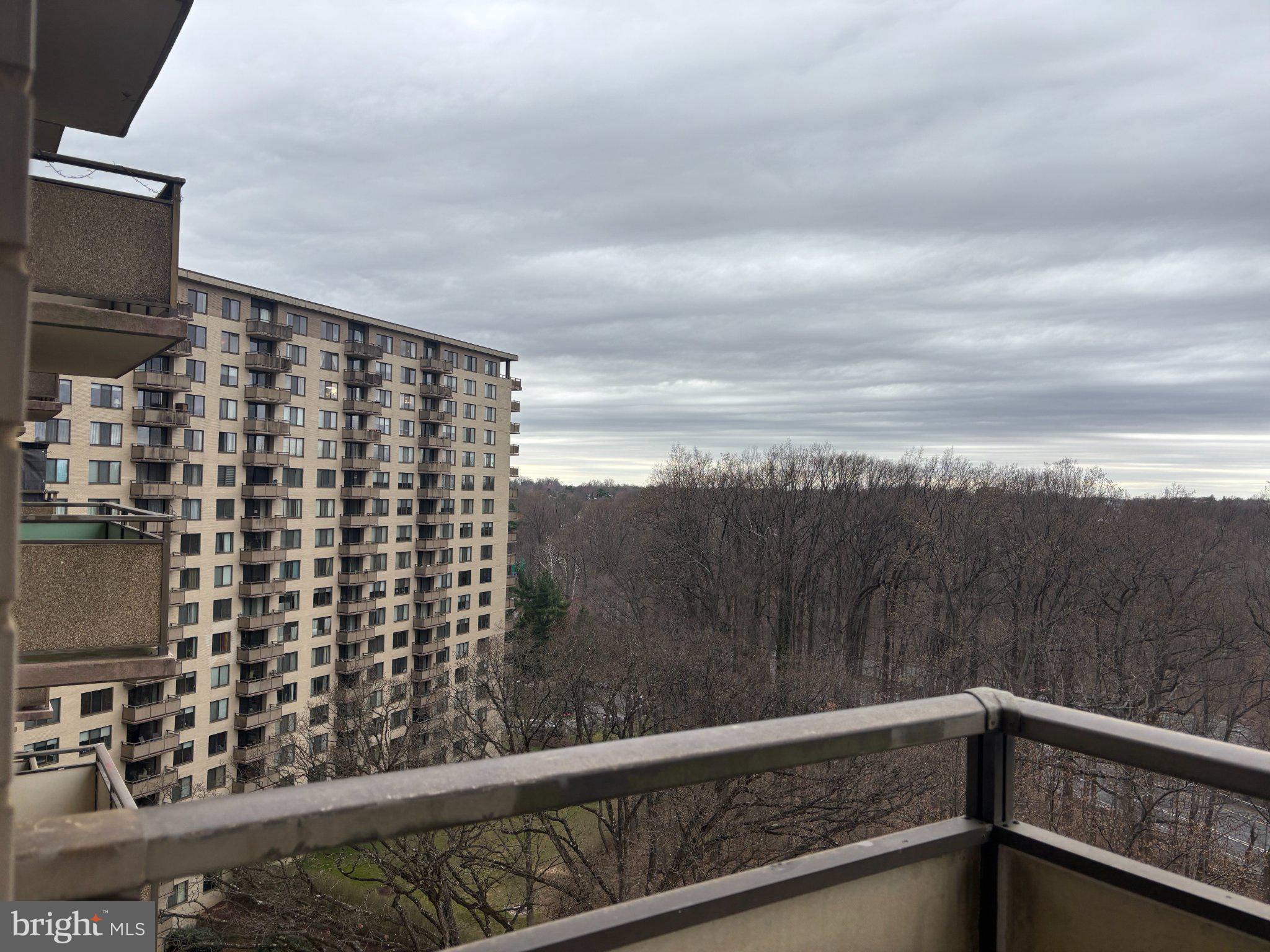 5225 Pooks Hill Road, Unit 1326 Bethesda, MD 20814 - Photo 3 of 24 a view of balcony with furniture