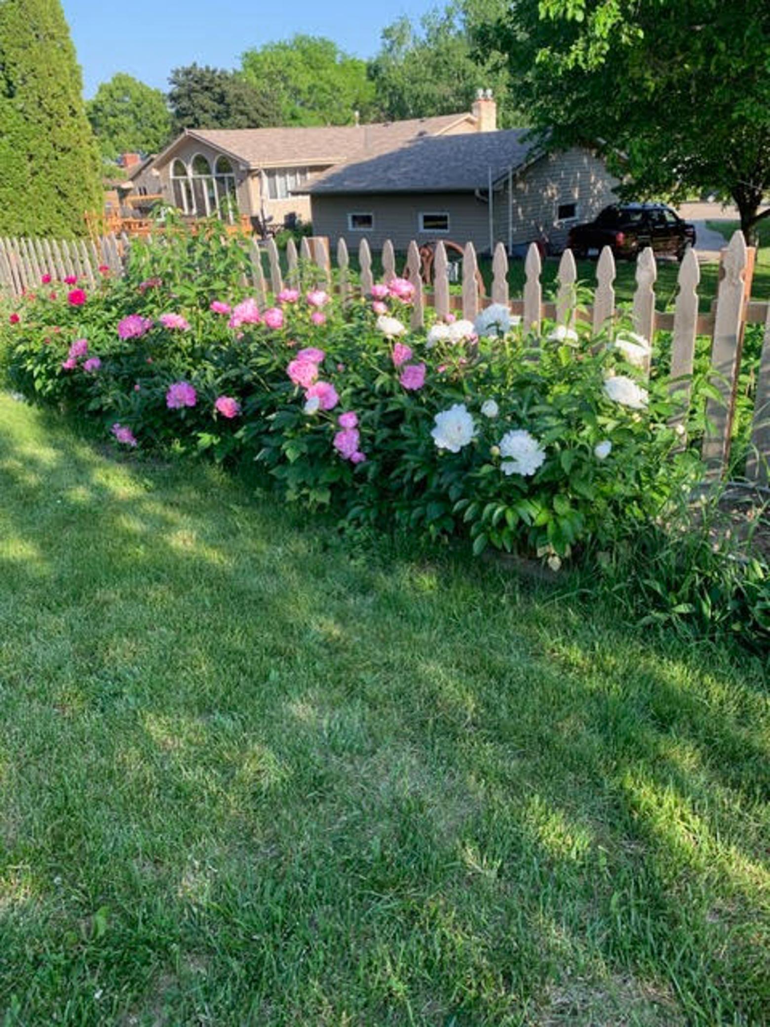 2403 Inca Lane New Brighton, MN 55112 - Photo 49 of 57