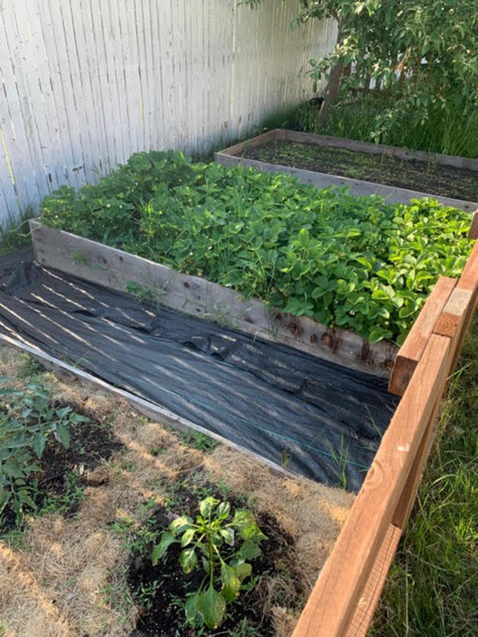 2403 Inca Lane New Brighton, MN 55112 - Photo 51 of 57