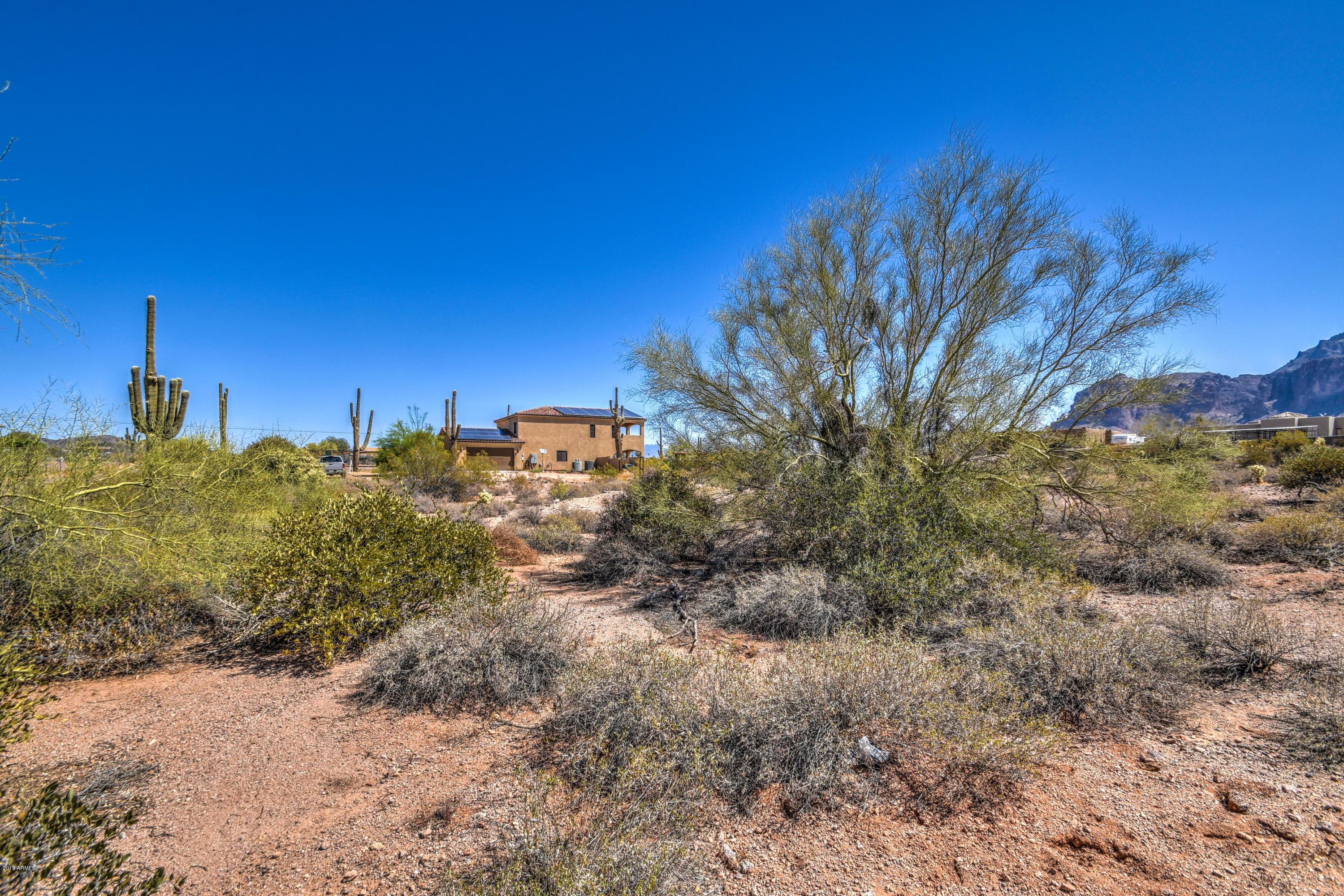 0 North Hilton Road North Apache Junction, AZ 85119 - Photo 6 of 15 a view of a big yard with large trees