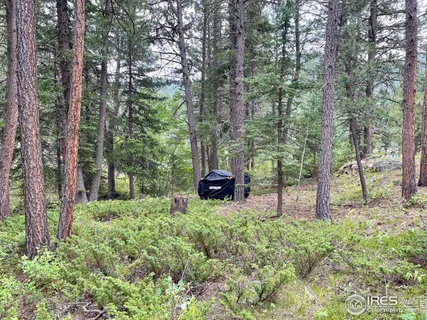 a house is sitting in middle of the forest
