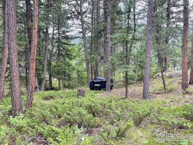 $95,000 | 0 Hemlock Drive, Lyons, CO 80540