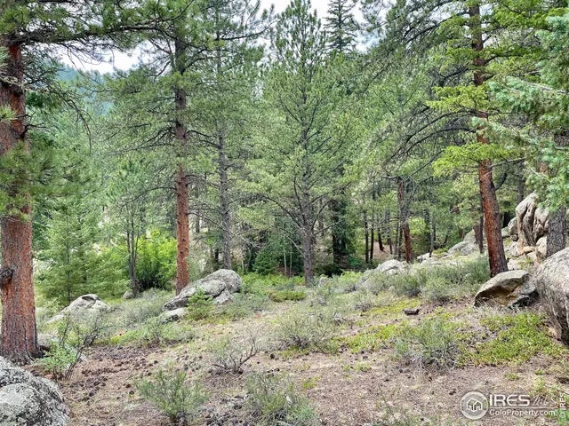 $95,000 | 0 Hemlock Drive, Lyons, CO 80540