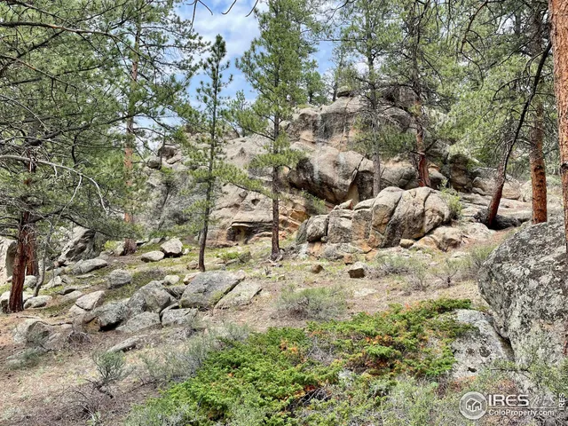 $95,000 | 0 Hemlock Drive, Lyons, CO 80540