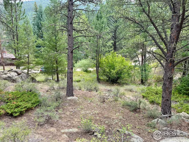 $95,000 | 0 Hemlock Drive, Lyons, CO 80540