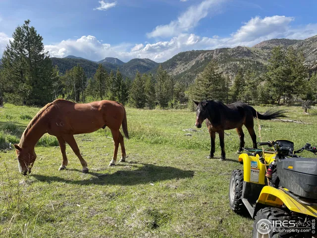 $95,000 | 0 Hemlock Drive, Lyons, CO 80540