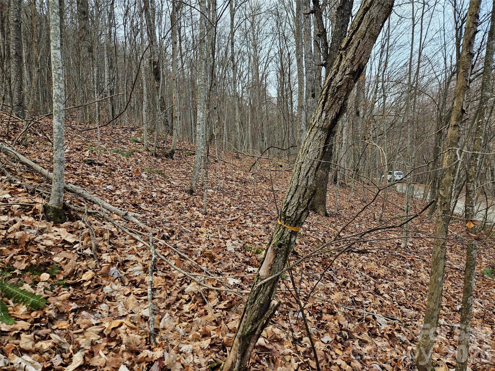 0 Slippery Rock Road Waynesville, NC 28785 - Photo 3 of 14