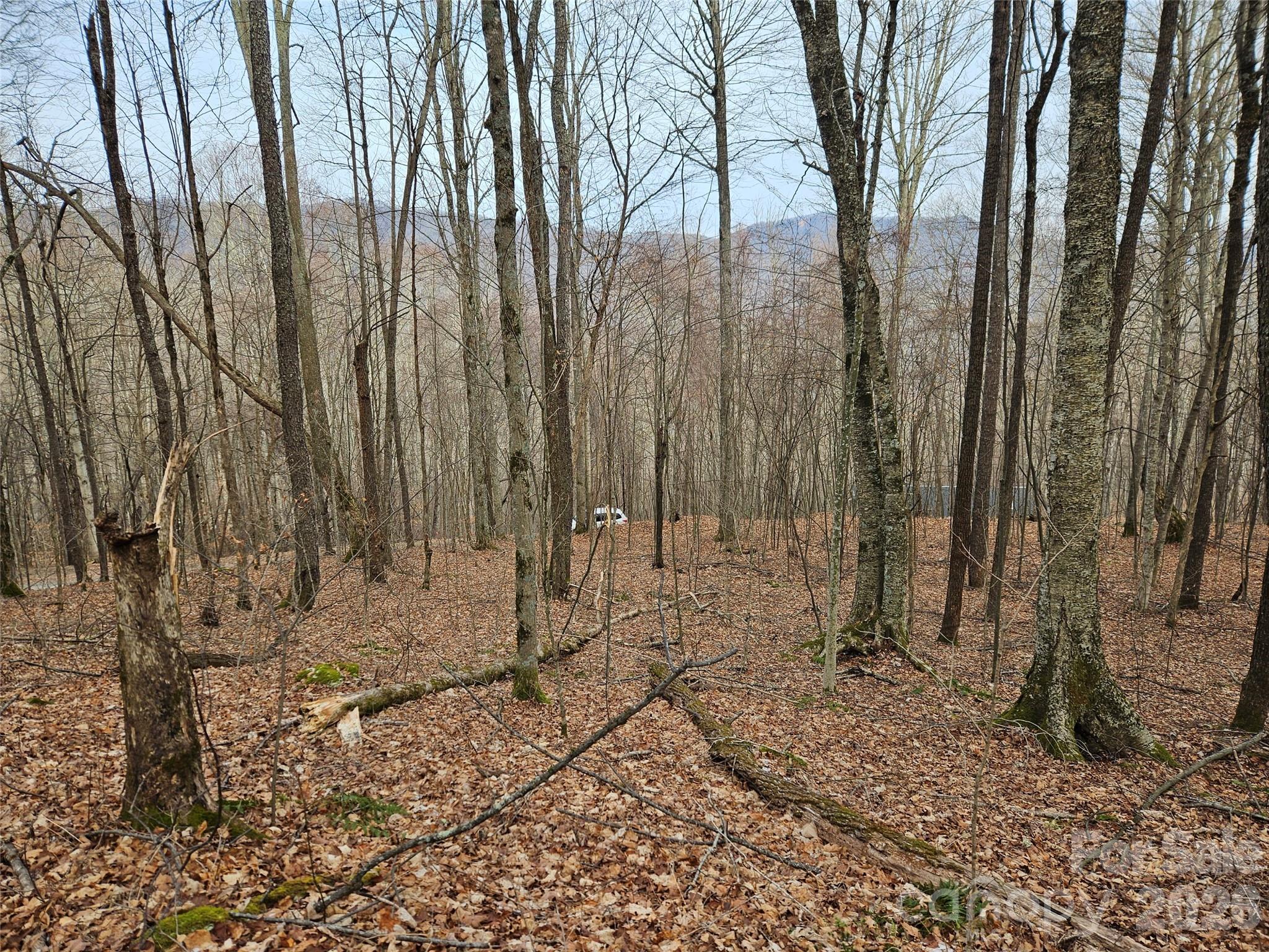 0 Slippery Rock Road Waynesville, NC 28785 - Photo 5 of 14