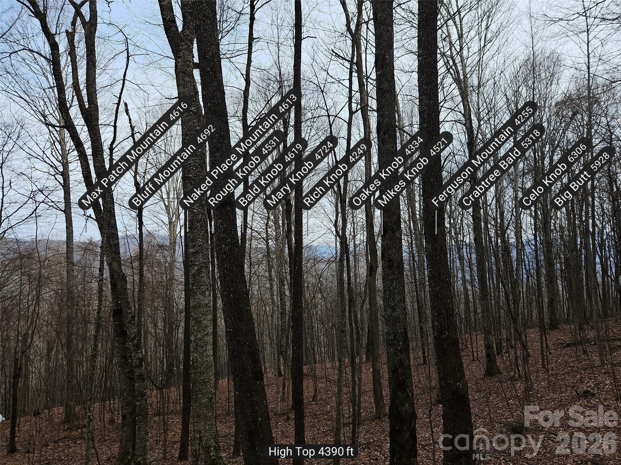 0 Slippery Rock Road Waynesville, NC 28785 - Photo 6 of 14