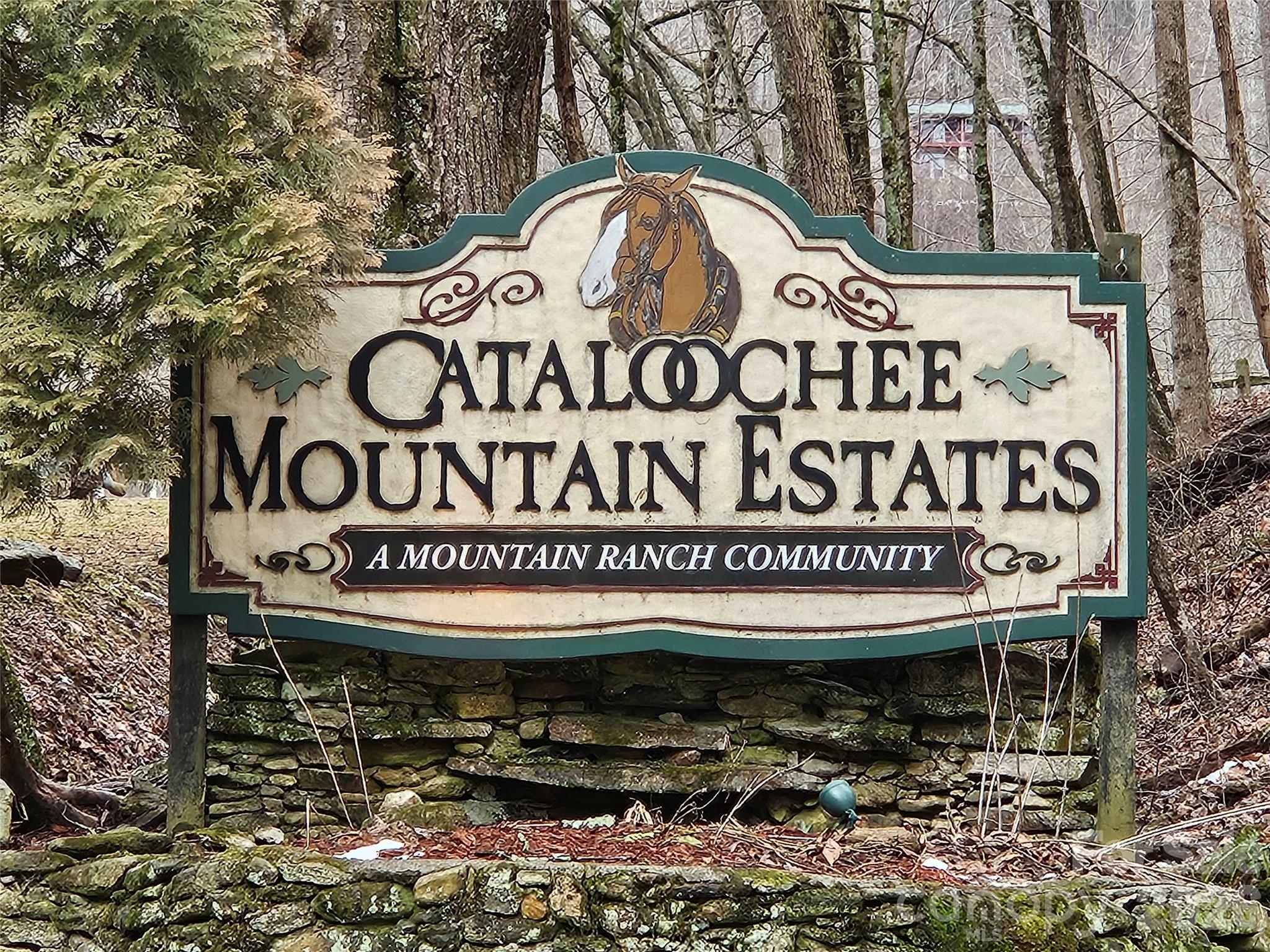 0 Slippery Rock Road Waynesville, NC 28785 - Photo 10 of 14