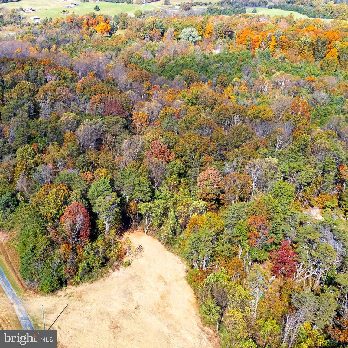 Lot 2 Young Road Rileyville, VA 22650 - Photo 15 of 20 a view of a yard with plants