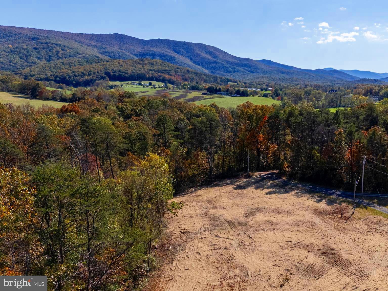 Lot 2 Young Road Rileyville, VA 22650 - Photo 17 of 20 a view of a forest with mountains in the background