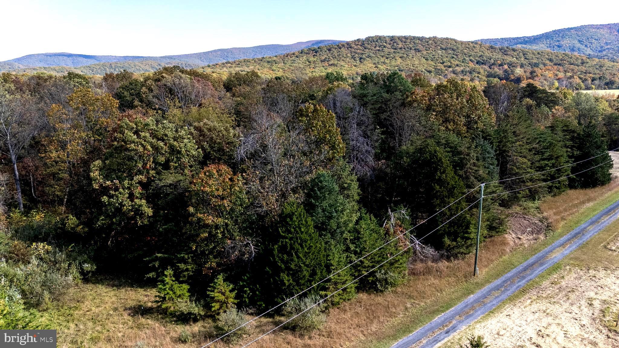 Lot 2 Young Road Rileyville, VA 22650 - Photo 20 of 20 a view of a forest with a mountain
