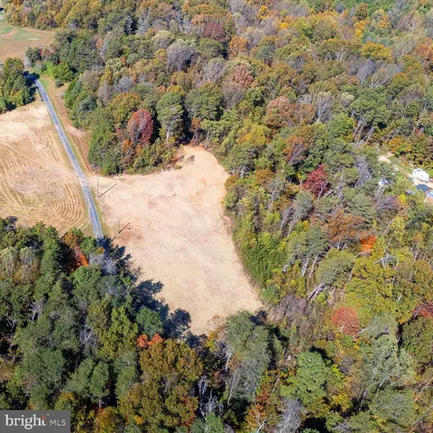 a view of a yard with plants