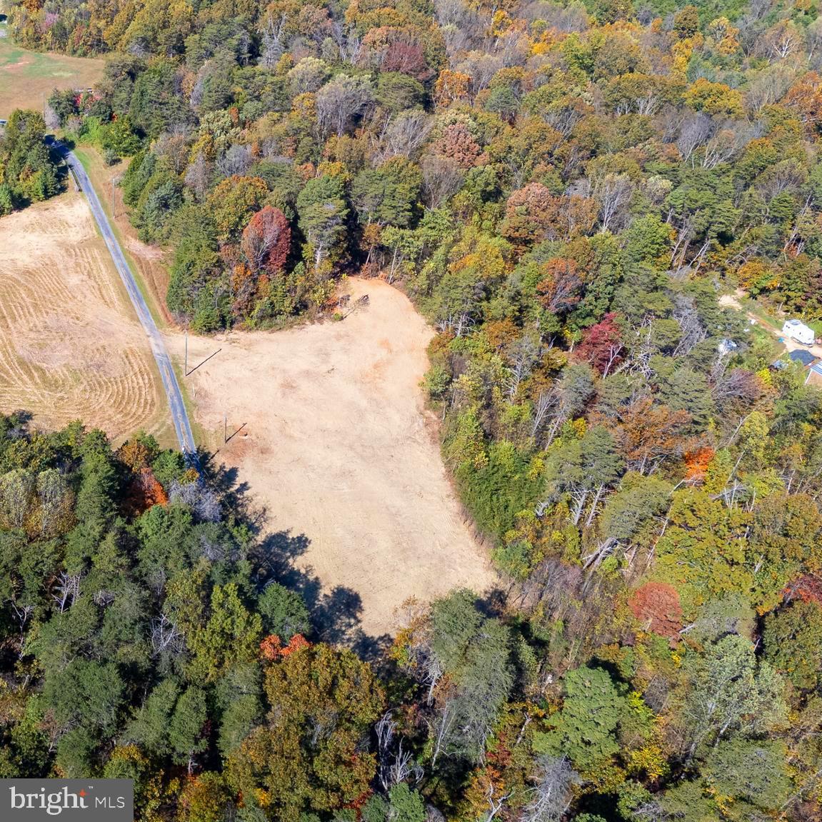 Lot 2 Young Road Rileyville, VA 22650 - Photo 6 of 20 a view of a yard with plants