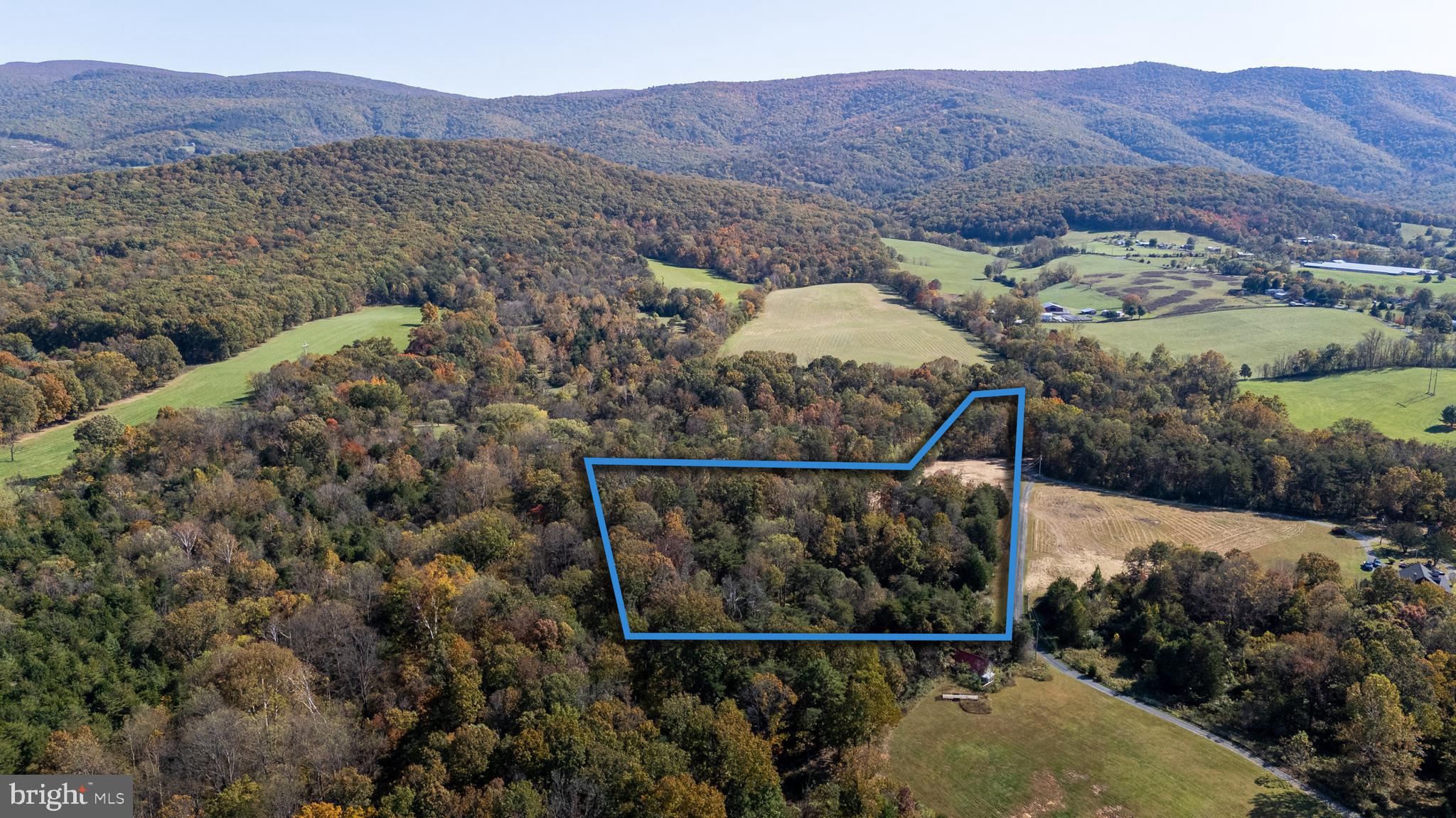 Lot 2 Young Road Rileyville, VA 22650 - Photo 8 of 20 a view of a forest