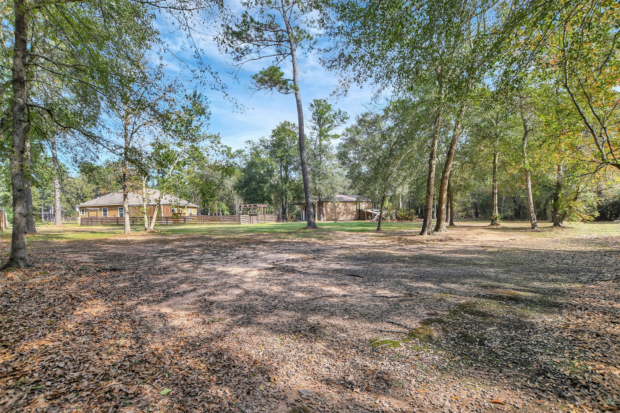 25896 Lake View Court West Hockley, TX 77447 - Photo 44 of 47 a view of outdoor space with trees