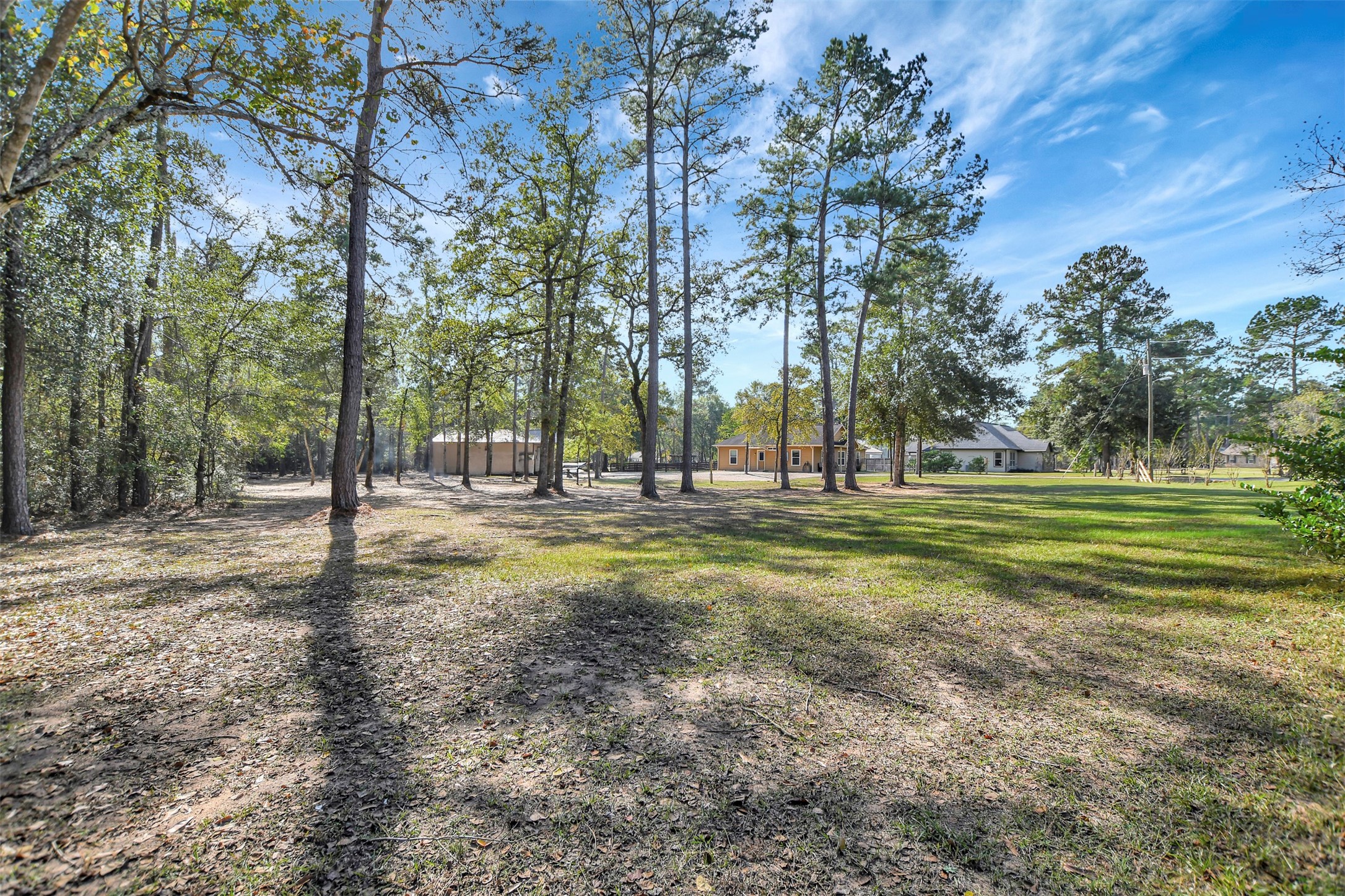 25896 Lake View Court West Hockley, TX 77447 - Photo 46 of 47 a view of a park with tree s