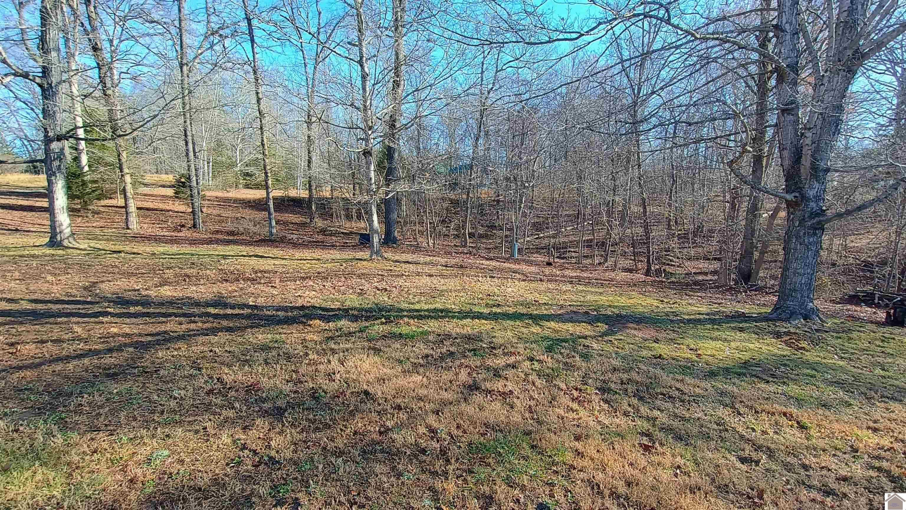 761 Reed Road Benton, KY 42025 - Photo 26 of 32 View Back Deck