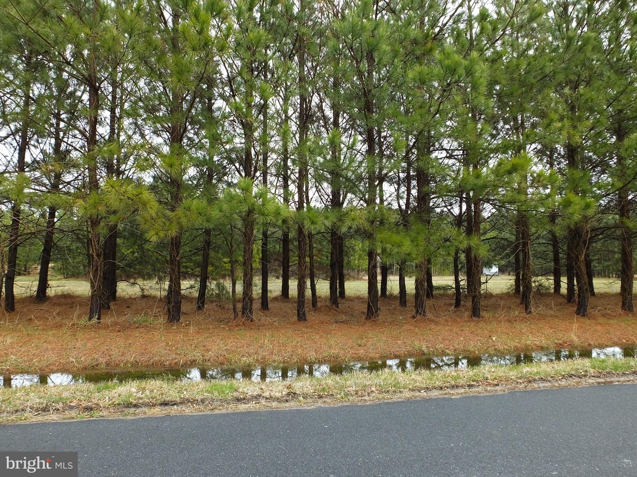 5457 Ragged Point Road Cambridge, MD 21613 - Photo 11 of 19 Gallery Image 11