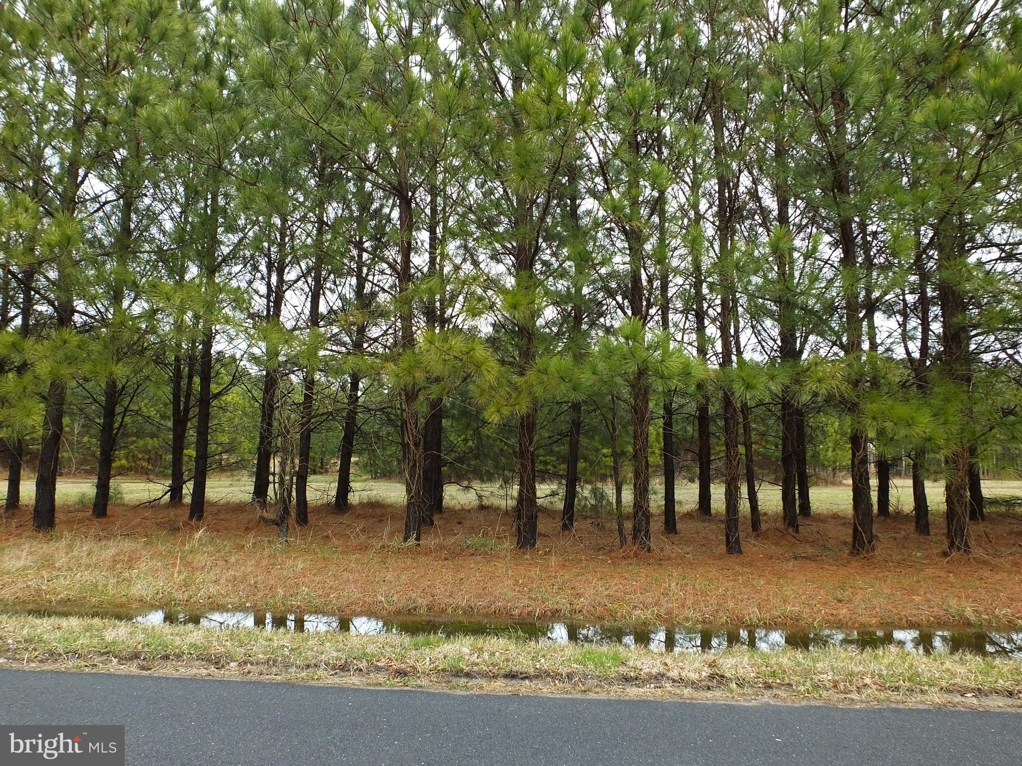 5457 Ragged Point Road Cambridge, MD 21613 - Photo 12 of 19 Gallery Image 12