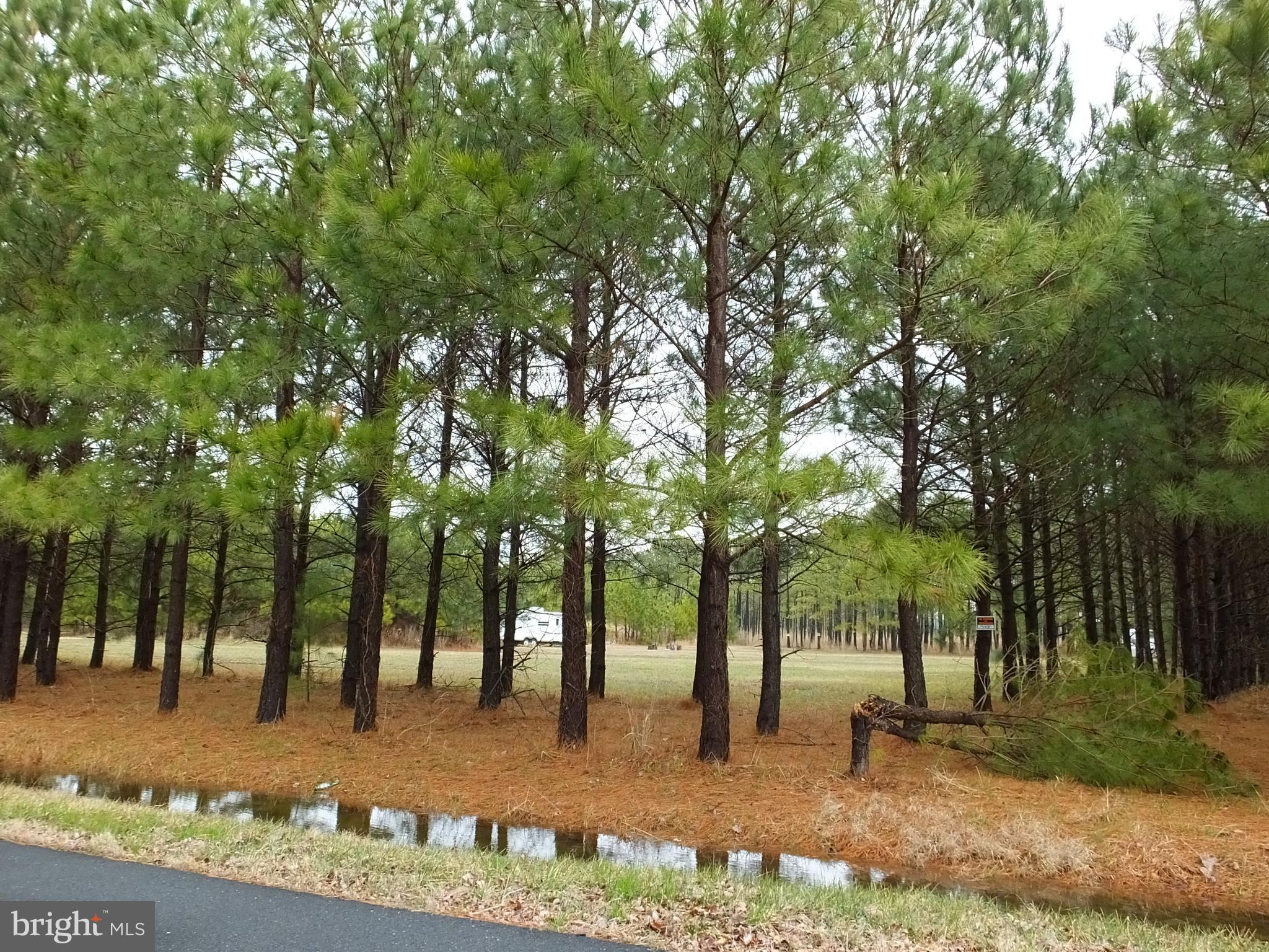 5457 Ragged Point Road Cambridge, MD 21613 - Photo 13 of 19 Gallery Image 13