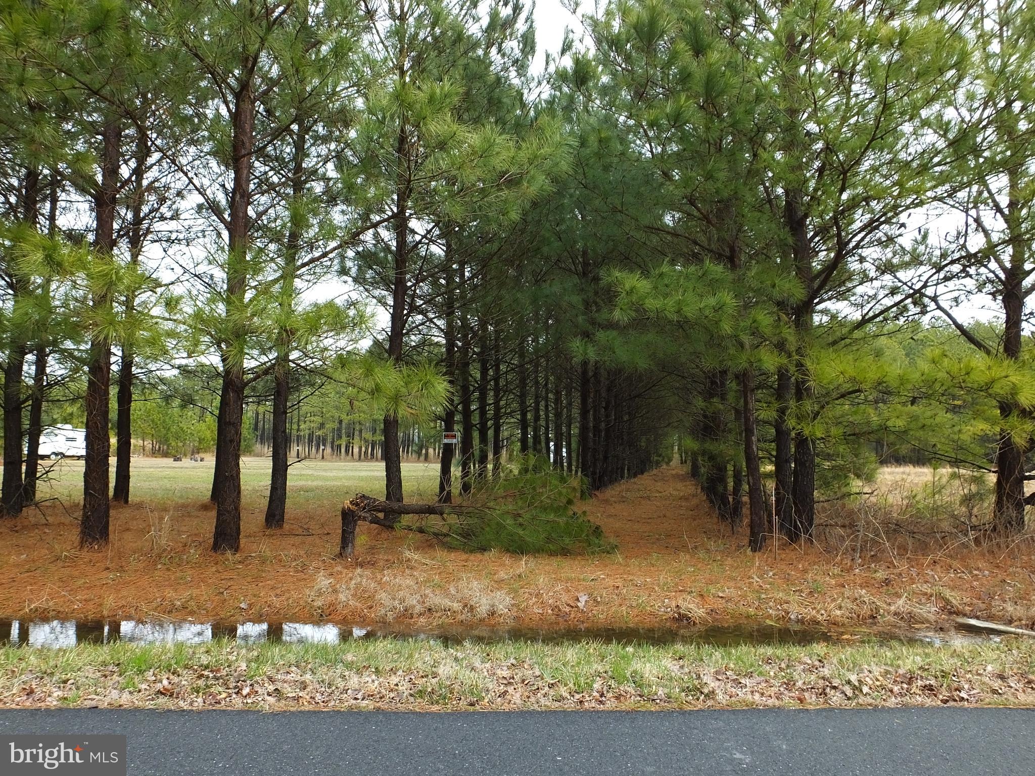5457 Ragged Point Road Cambridge, MD 21613 - Photo 14 of 19 Gallery Image 14