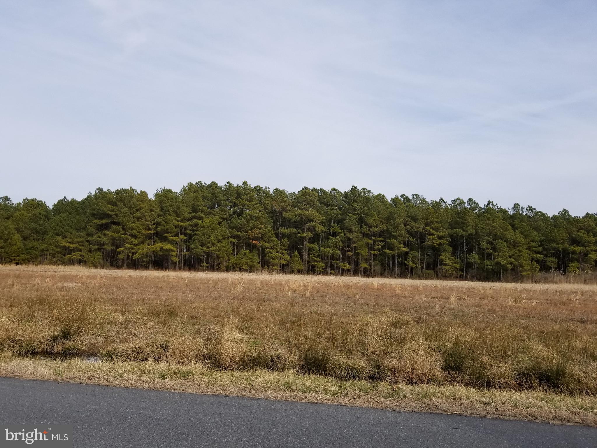 5457 Ragged Point Road Cambridge, MD 21613 - Photo 15 of 19 Gallery Image 15