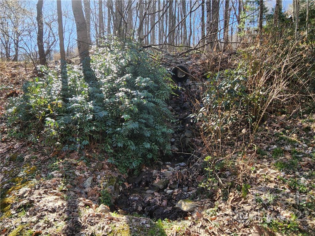 71 Apple Creek Road Waynesville, NC 28786 - Photo 11 of 24 Gallery Image 11
