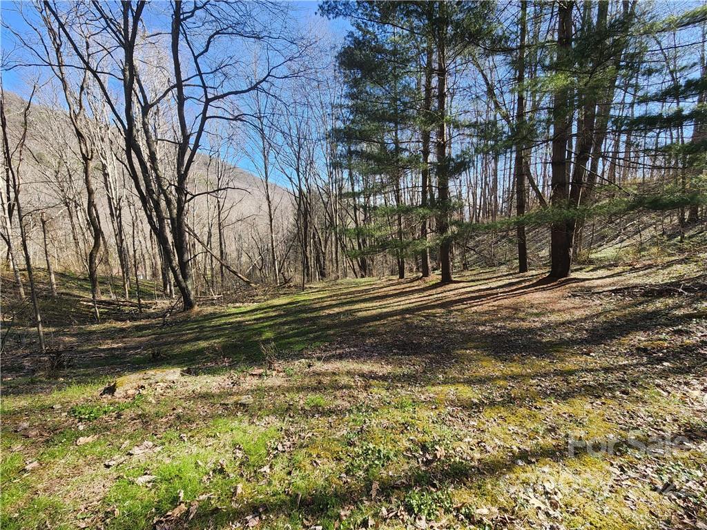 71 Apple Creek Road Waynesville, NC 28786 - Photo 20 of 24 Gallery Image 20