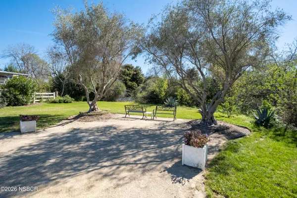 a view of a park with large trees