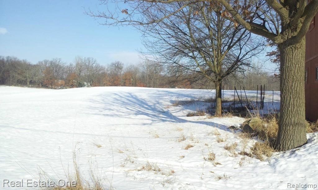 1300 West Rose Center Road Holly, MI 48442 - Photo 12 of 45 Land (pic 2)