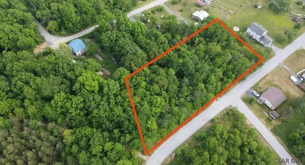 a view of a yard with plants