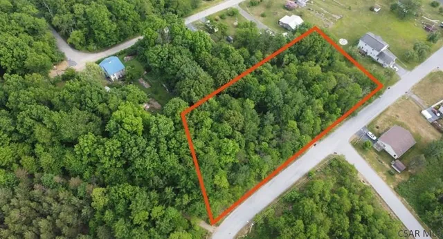 a view of a yard with plants