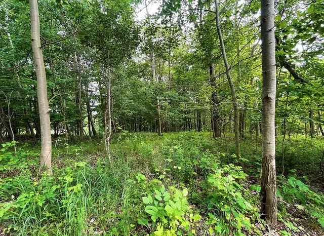 a view of outdoor space and trees