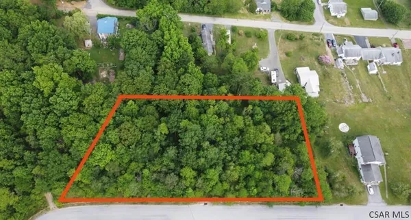 a view of a yard with plants