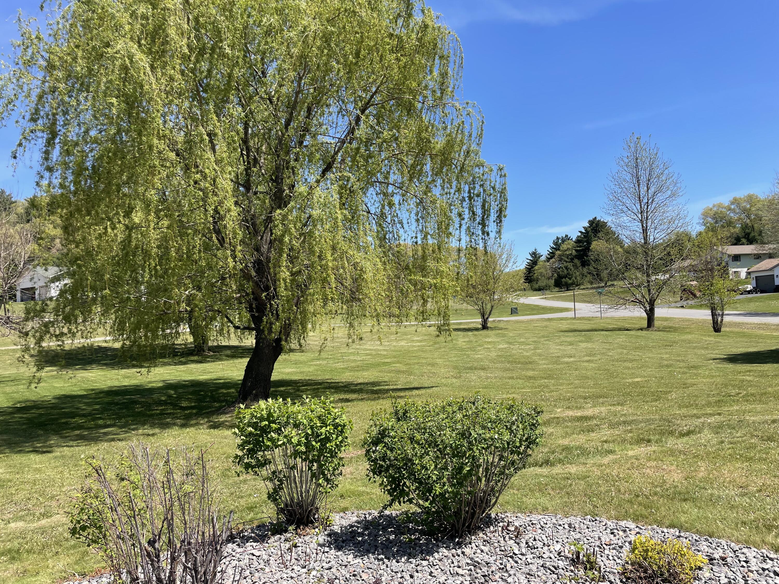 11411 Flavin Road Greenfield, WI 54660 - Photo 24 of 26 Yard