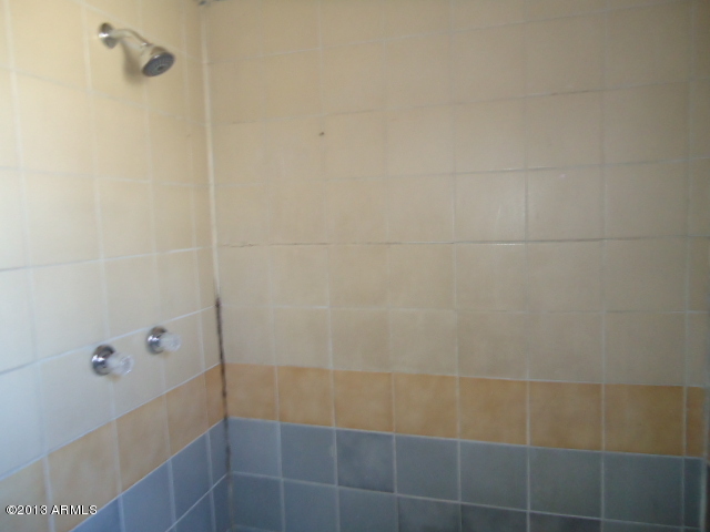 120 West Riverside Street Phoenix, AZ 85041 - Photo 32 of 32 Hall Bathroom 2