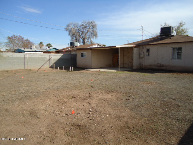 Backyard 3