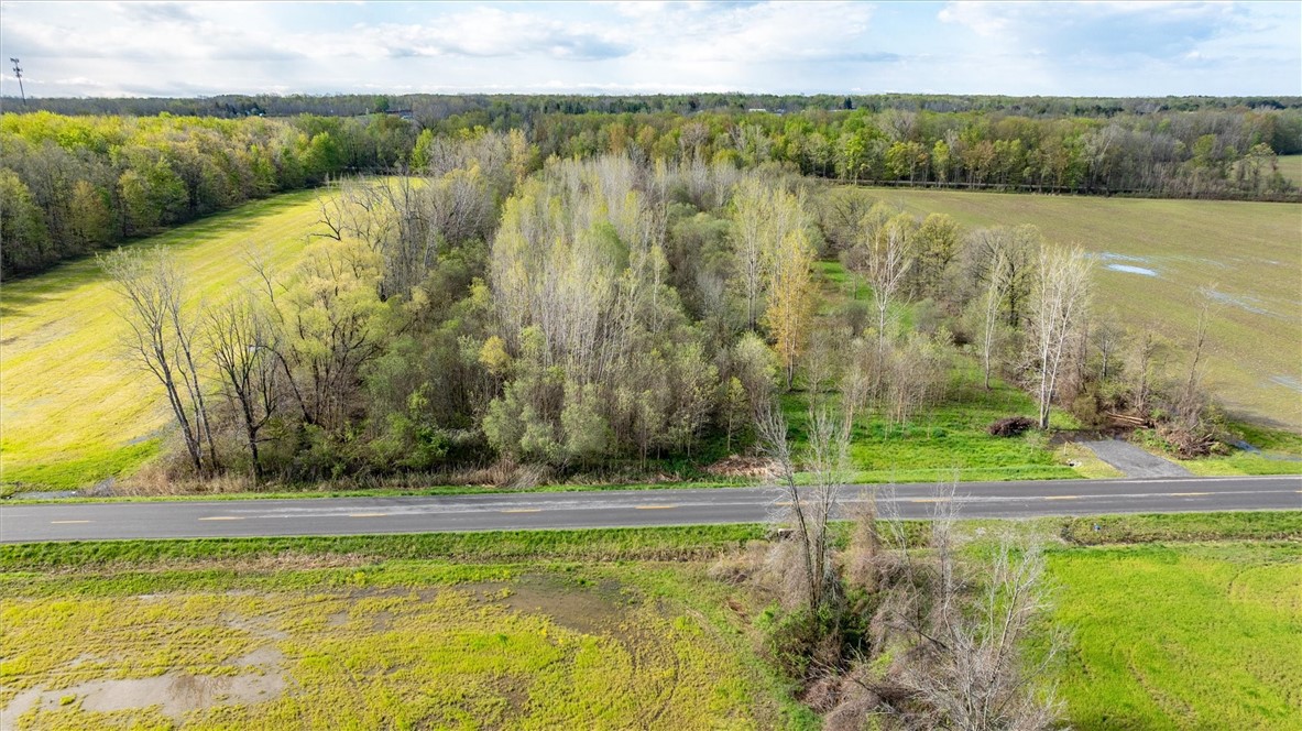16126 Telegraph Road Murray, NY 14470 - Photo 3 of 50