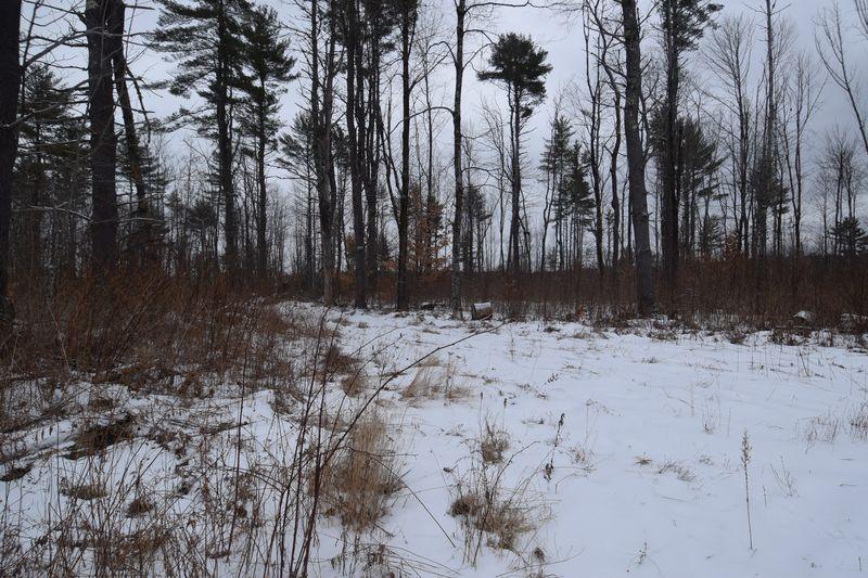 613 Back Road Skowhegan, ME 04976 - Photo 10 of 17 DSC_0062