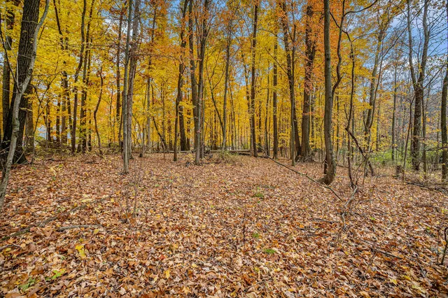 $120,000 | 14085 Peninsula Drive, Galesburg, MI 49053